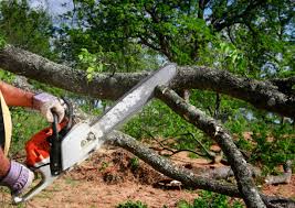 Best Soil Testing and Treatment  in New Brunswick, NJ